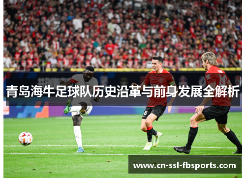青岛海牛足球队历史沿革与前身发展全解析